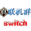 switch真联机群