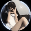 白山茶与红玫瑰