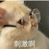恶堕宾馆表白墙