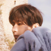 成毅频道图标
