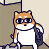 每日摘抄