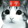 每日更新表情包库频道图标