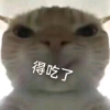 高玩达芬电竞俱乐部