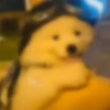 谭博文的家常菜单