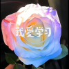 学霸养成计划频道图标