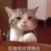小心脚下的频道