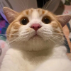 单亲妈妈