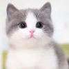 一下