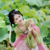 荷塘莲碧