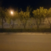 频道头部图标