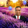 唐时祥的频道