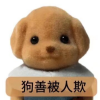 频道头部图标
