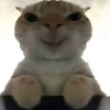 素材