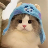 找搭子交友