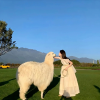 周末旅游地频道图标