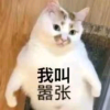 新建频道