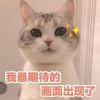 王者吃鸡飞车cpdd