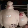 苏陌逸.的好友频道