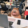 龙龙的校园频道