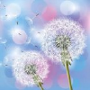 逆风の蒲公英