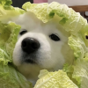 江停.的好友频道