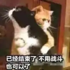 屁用没有的频道