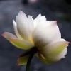 长风破浪