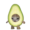 福福的猫meme